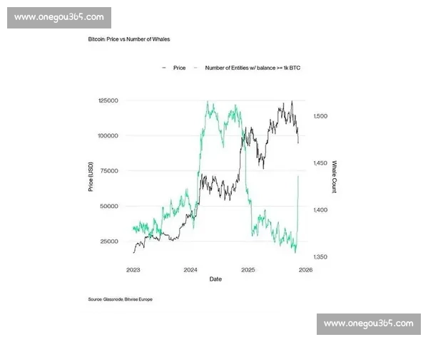 比特币价格震荡引发全球金融市场投资者情绪新变局分析